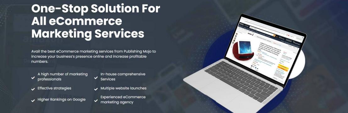 Ecommerce Marketing Services