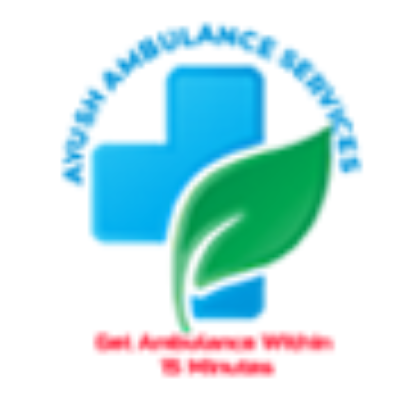 Ayush Ambulance Services